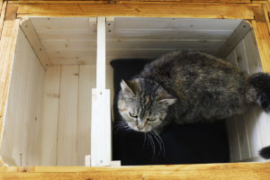Zateplený domček pre mačku
