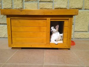 Zateplený domček pre mačku WHISKASS