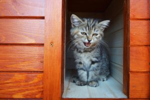Zateplený domček pre mačku WHISKASS